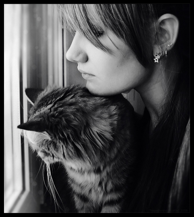 Кошка грустная песня. Девушка с котом. Грустная девушка с котом. Красивая девушка с кошкой. Брюнетка с котенком.