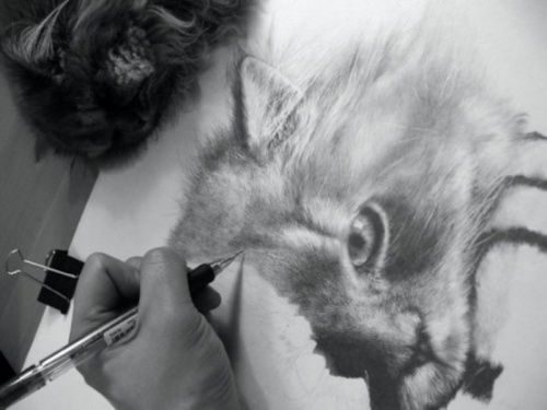 Paul Lung невероятно реалистичные рисунки карандашом (28 работ)